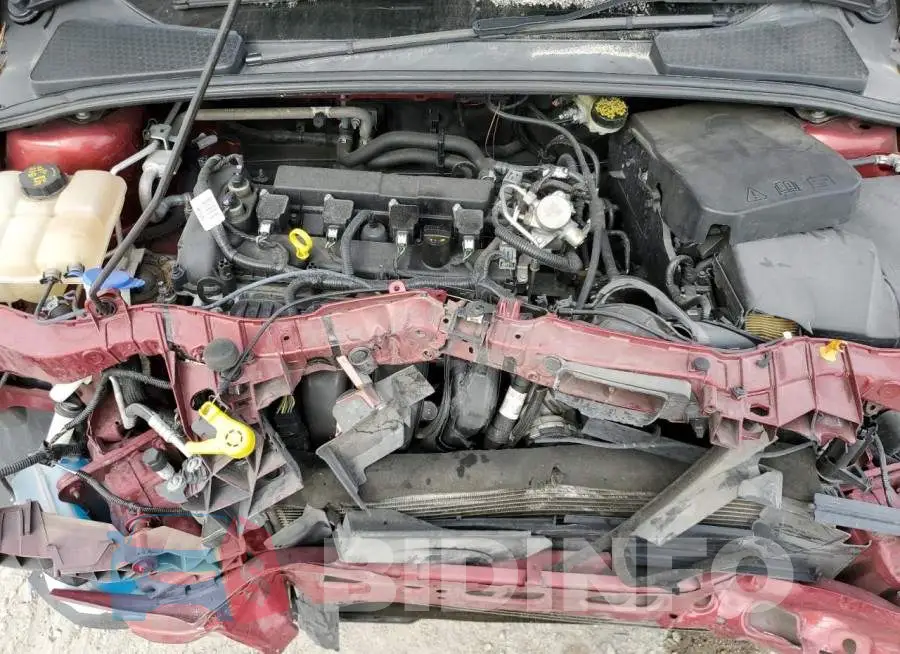 1FADP3F29GL398556 Photo# 7