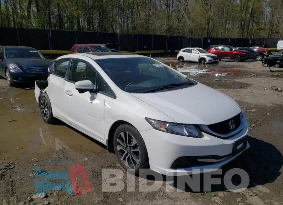 19XFB2F82EE082387 Photo# 1