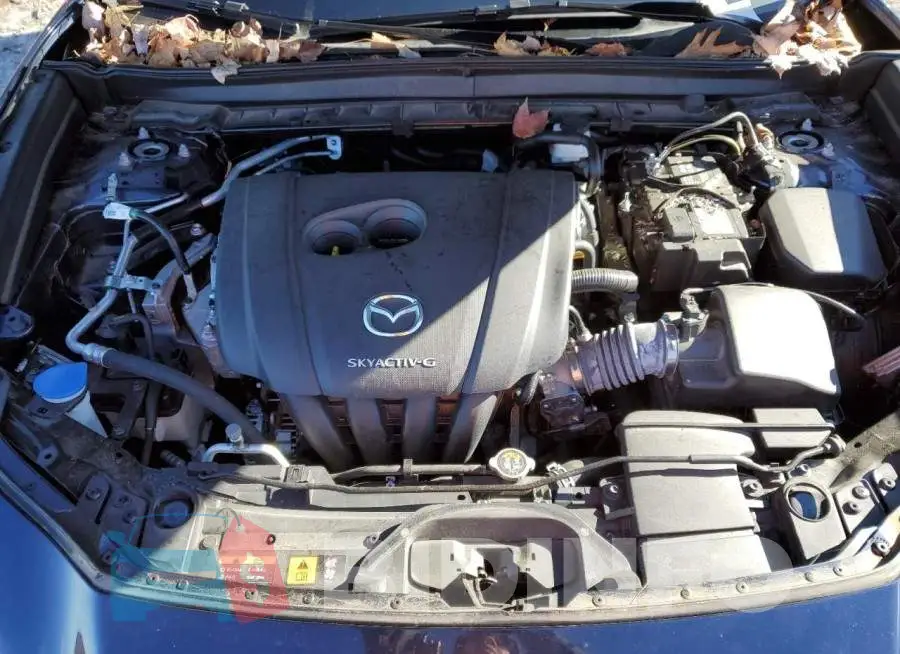 3MVDMBBL6MM221516 Photo# 11