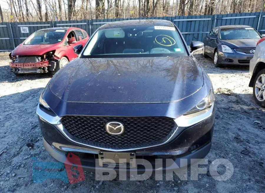 3MVDMBBL6MM221516 Photo# 5