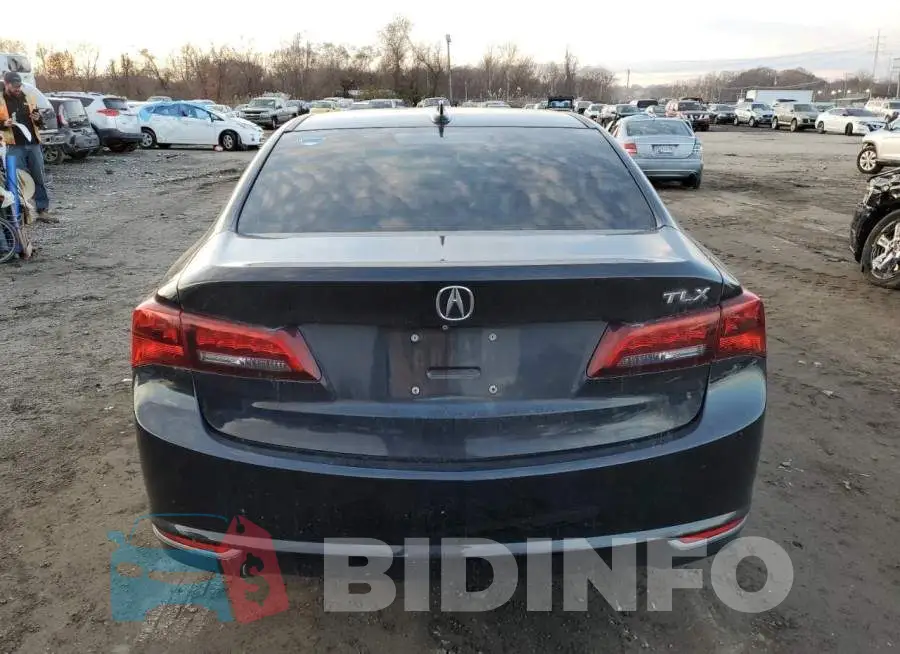 19UUB1F32FA000976 Photo# 6