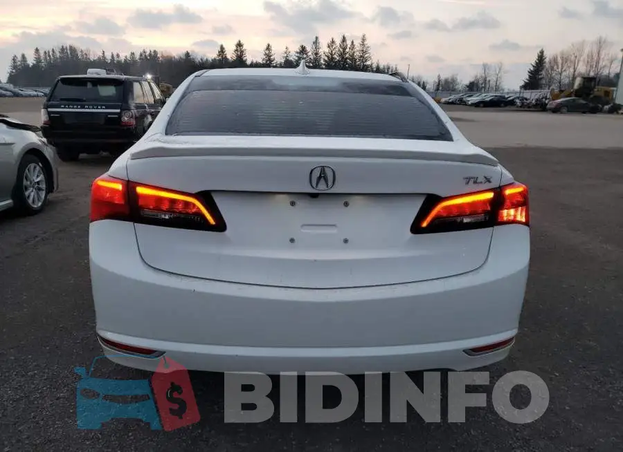 19UUB1F55HA800482 Photo# 6