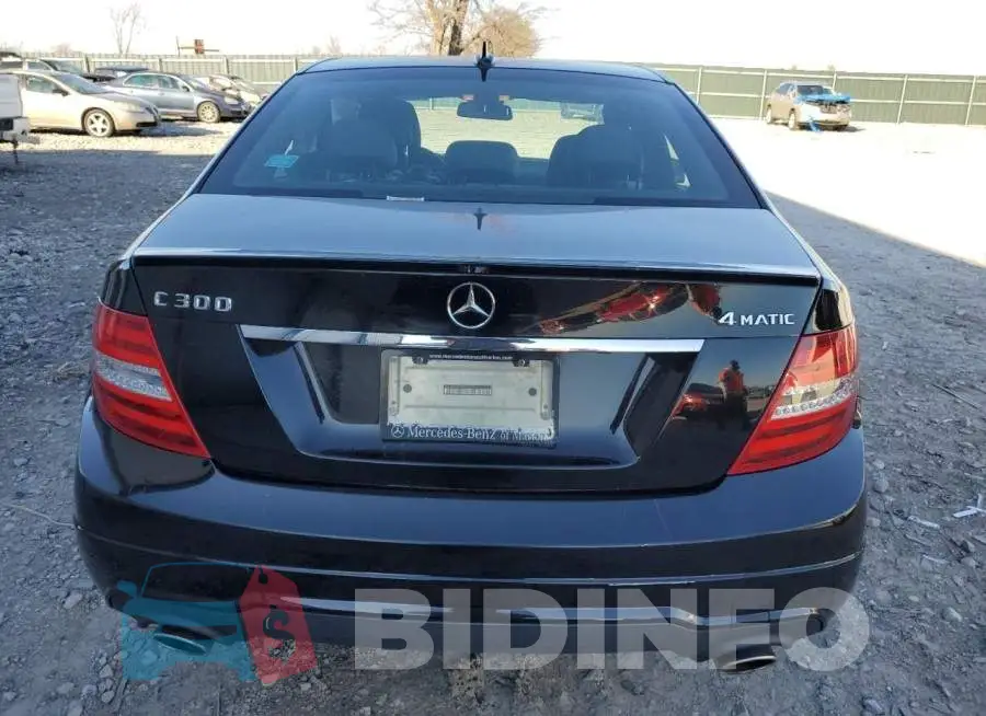 WDDGF8AB1DR249054 Photo# 6