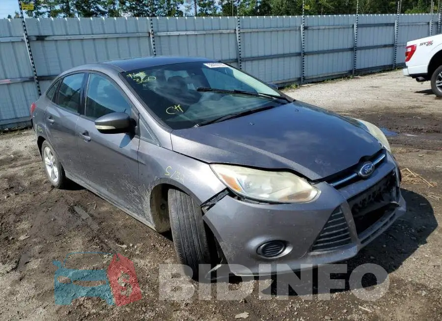 1FADP3F24EL220034 Photo# 1
