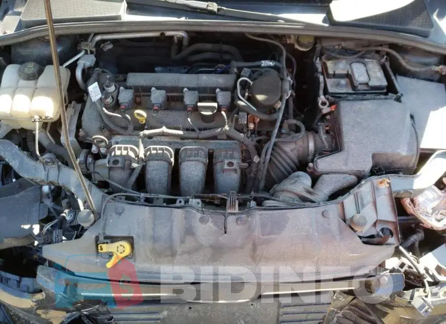 1FADP3F26EL250412 Photo# 7