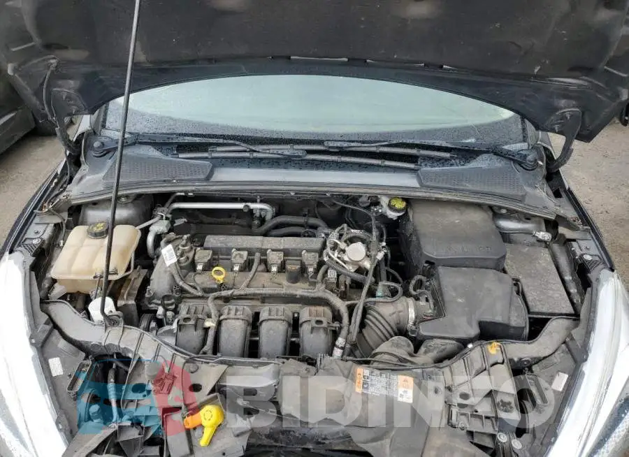 1FADP3F27GL405276 Photo# 7