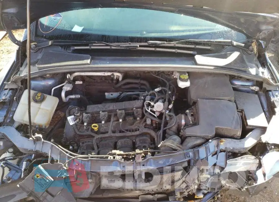 1FADP3M21JL261007 Photo# 7