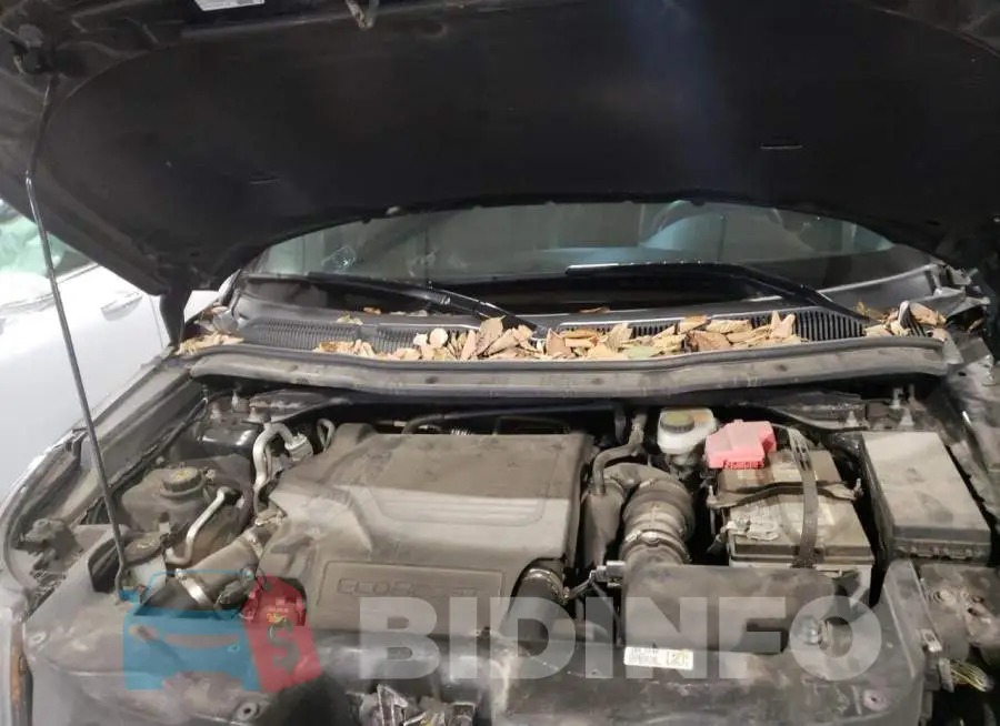 1FM5K8GT8EGA21378 Photo# 7