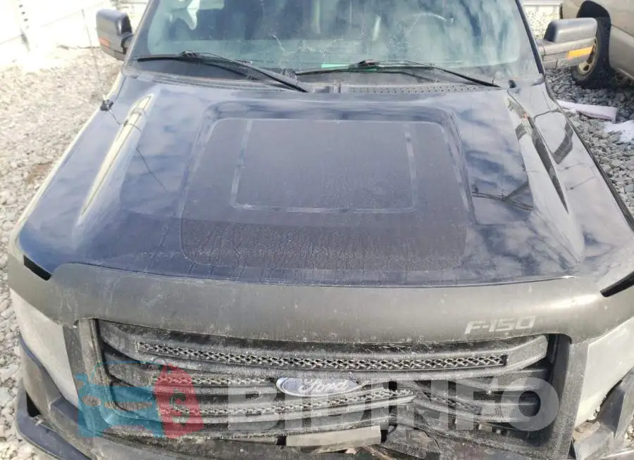 1FTFW1EF5EFA88219 Photo# 12