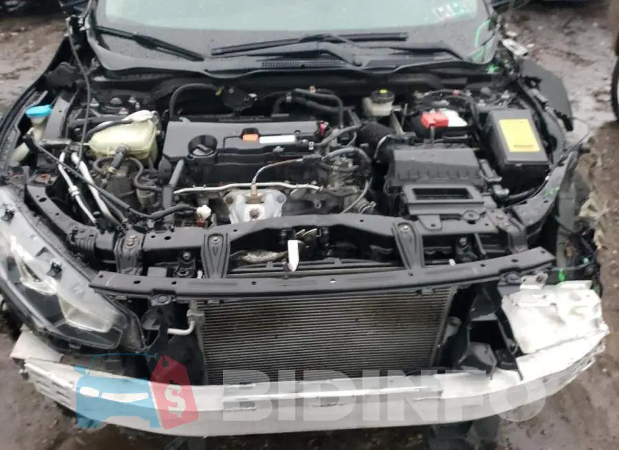 19XFC2F58GE236199 Photo# 11
