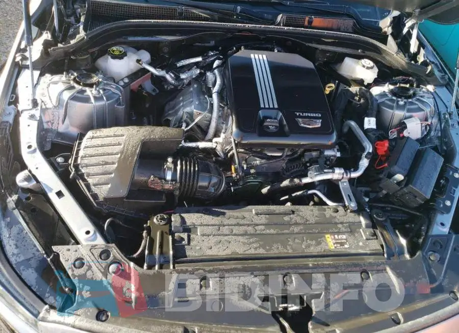 1G6DN5RK1M0130690 Photo# 7