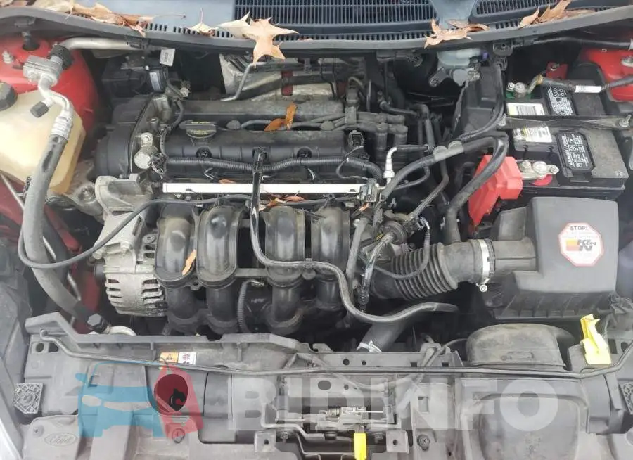 3FADP4EJ3FM191205 Photo# 11