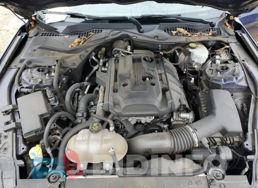 1FA6P8TH4K5166233 Photo# 11