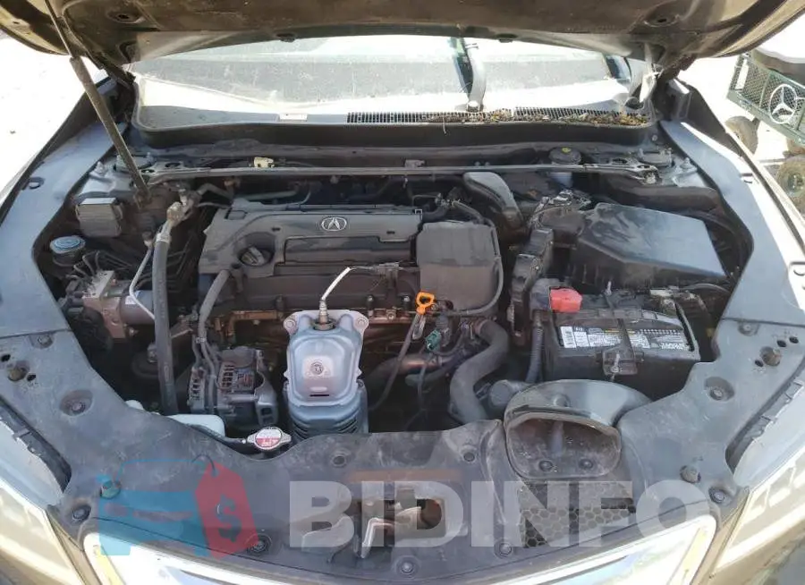 19UUB1F55FA013383 Photo# 7
