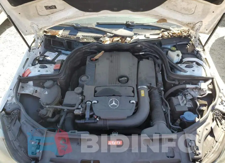 WDDGF4HB7DR256525 Photo# 7