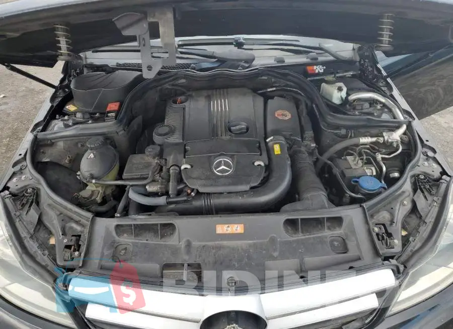 WDDGJ4HB5DG001527 Photo# 11