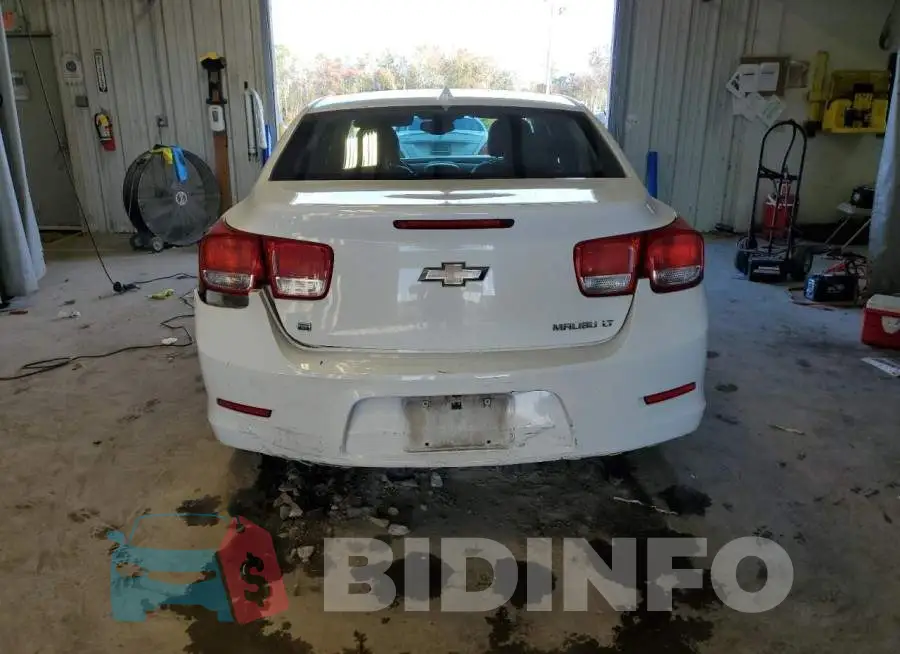 1G11C5SLXEF304627 Photo# 6