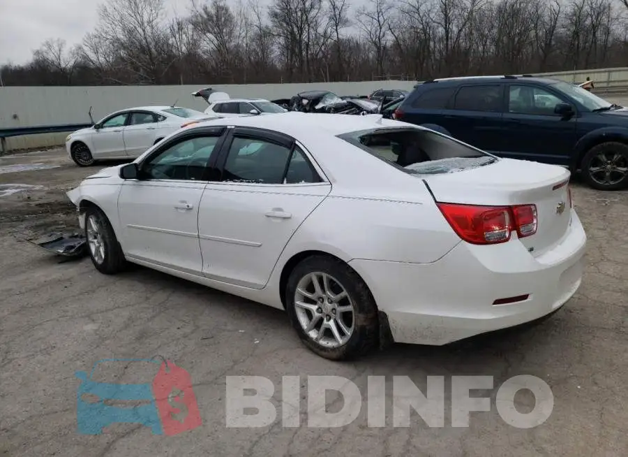 1G11C5SLXFF303849 Photo# 2