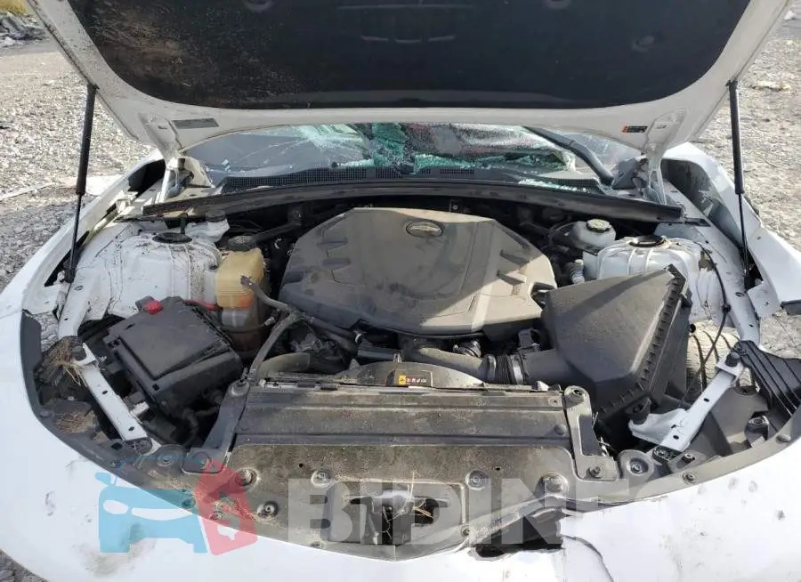 1G1FB1RS2K0108274 Photo# 7