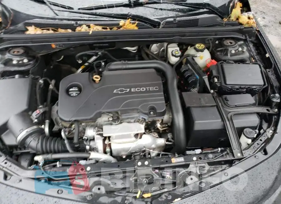1G1ZC5ST3HF254810 Photo# 7