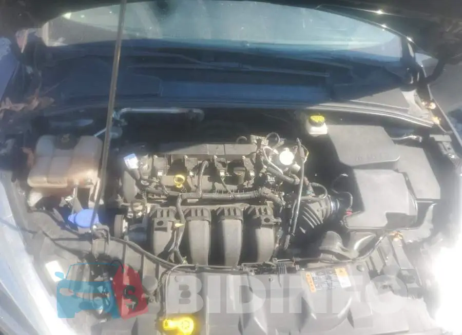 1FADP3F26JL238013 Photo# 7