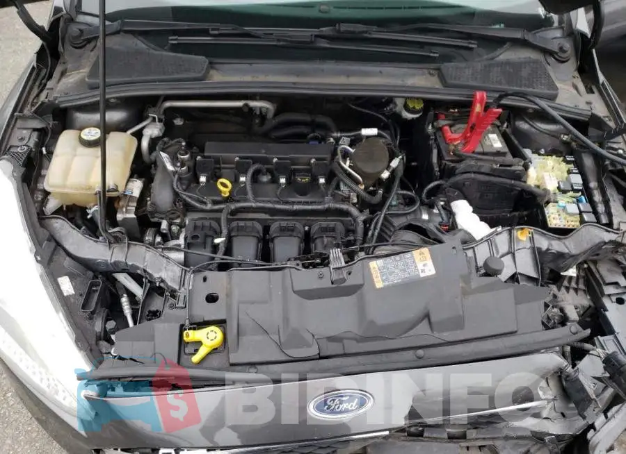 1FADP3F29GL315563 Photo# 7