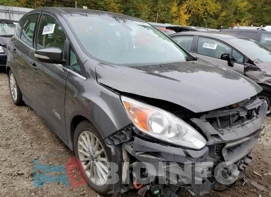 1FADP5CU0FL109371 Photo# 1