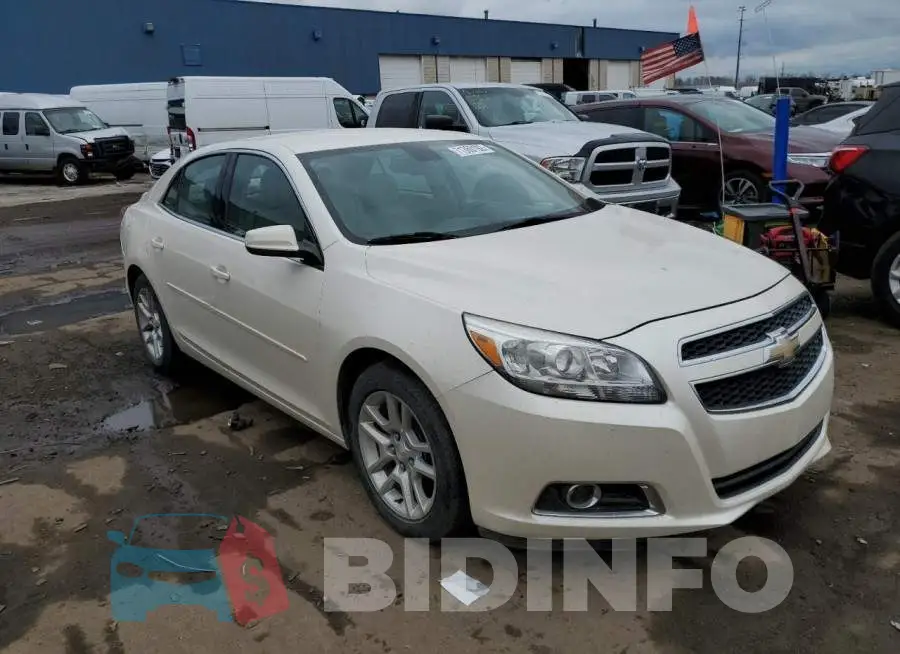 1G11F5SRXDF172902 Photo# 4
