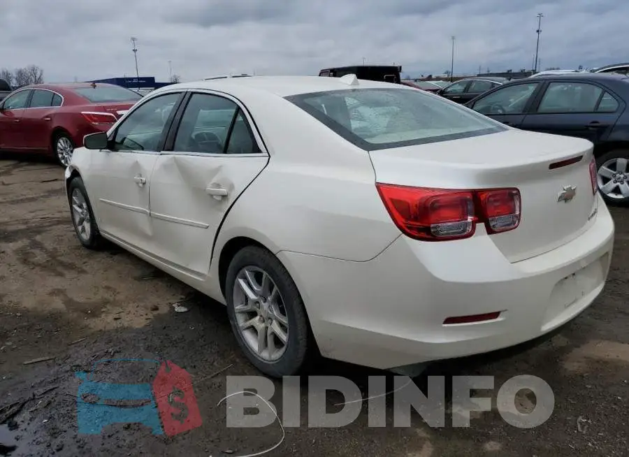 1G11F5SRXDF172902 Photo# 2