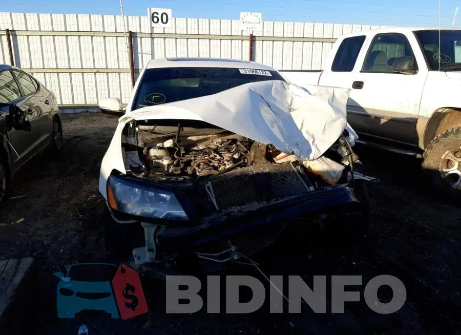 1VWCN7A39EC066419 Photo# 9