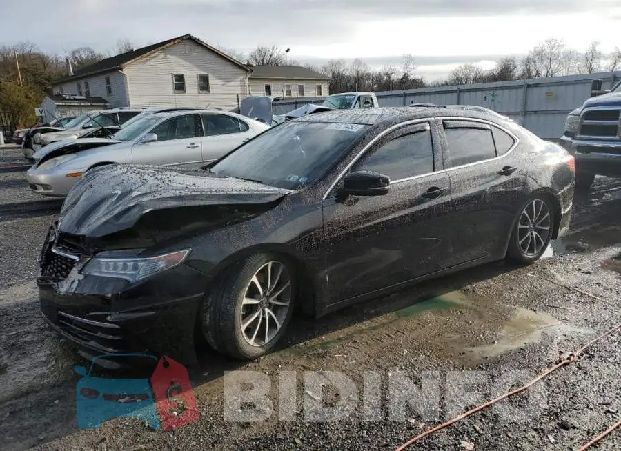 19UUB2F35FA002792 Photo# 1