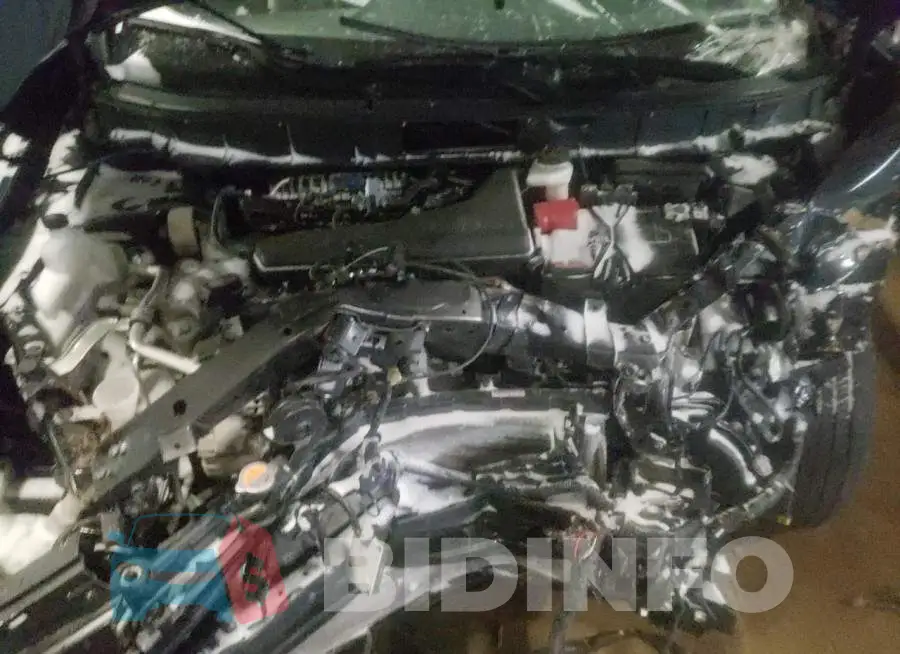 KNMAT2MV9LP540181 Photo# 12