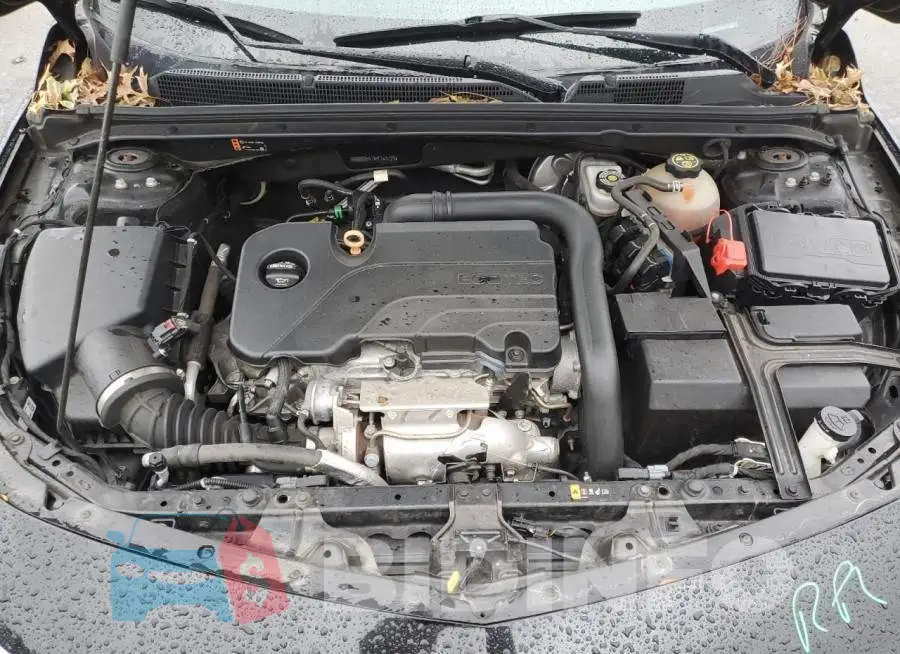 1G1ZD5ST8KF163729 Photo# 11