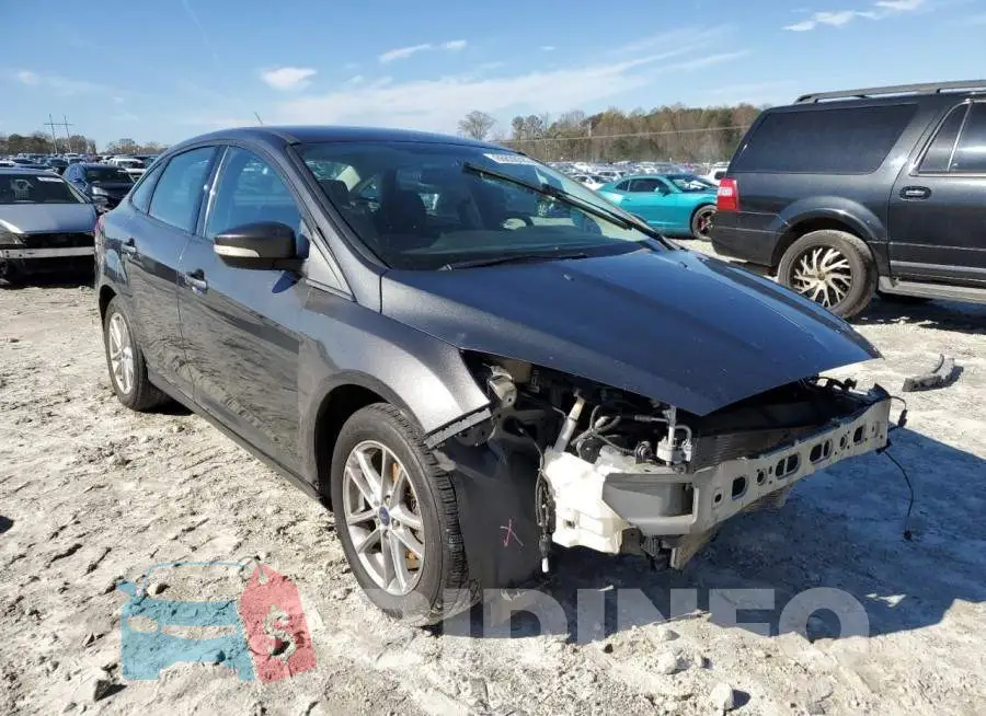 1FADP3F2XGL336244 Photo# 4