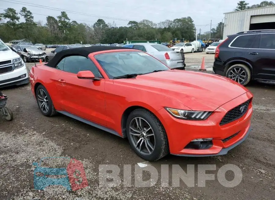 1FATP8UH1G5243262 Photo# 4