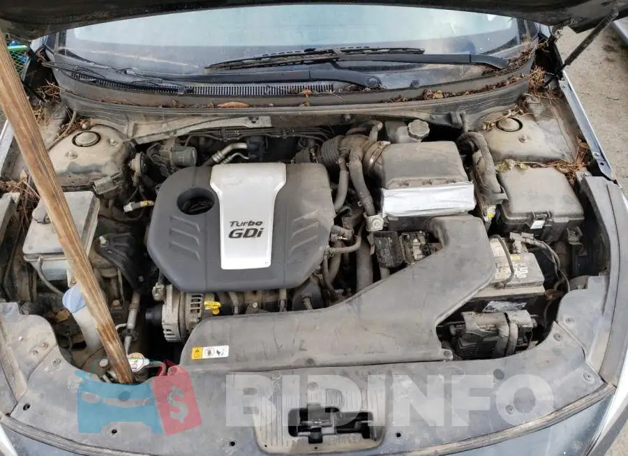 5NPE24AA1FH132016 Photo# 11