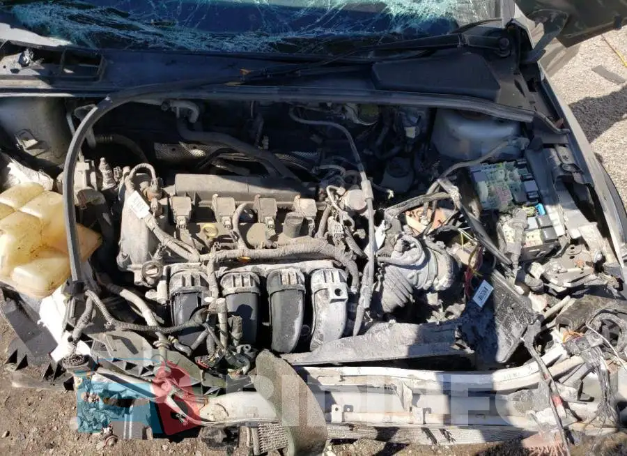 1FADP3F25GL265566 Photo# 7