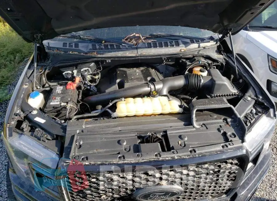 1FTEW1E49LFA46157 Photo# 7