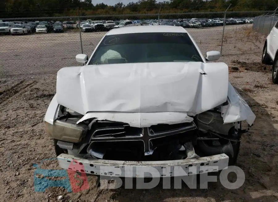 2C3CDXBG4EH113283 Photo# 9