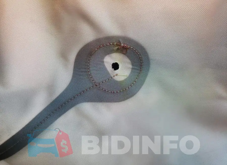 1G1FB1RX4K0148223 Photo# 6