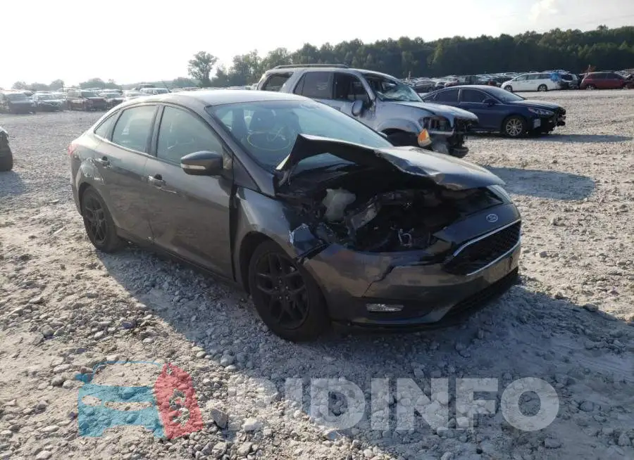 1FADP3F21GL262244 Photo# 1