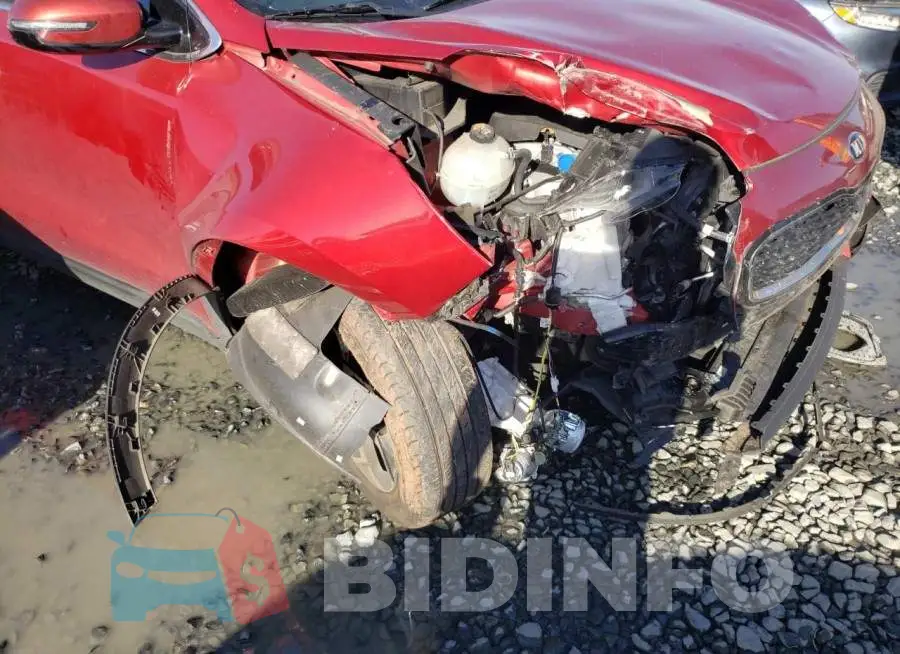 KNDPM3AC0L7752158 Photo# 9