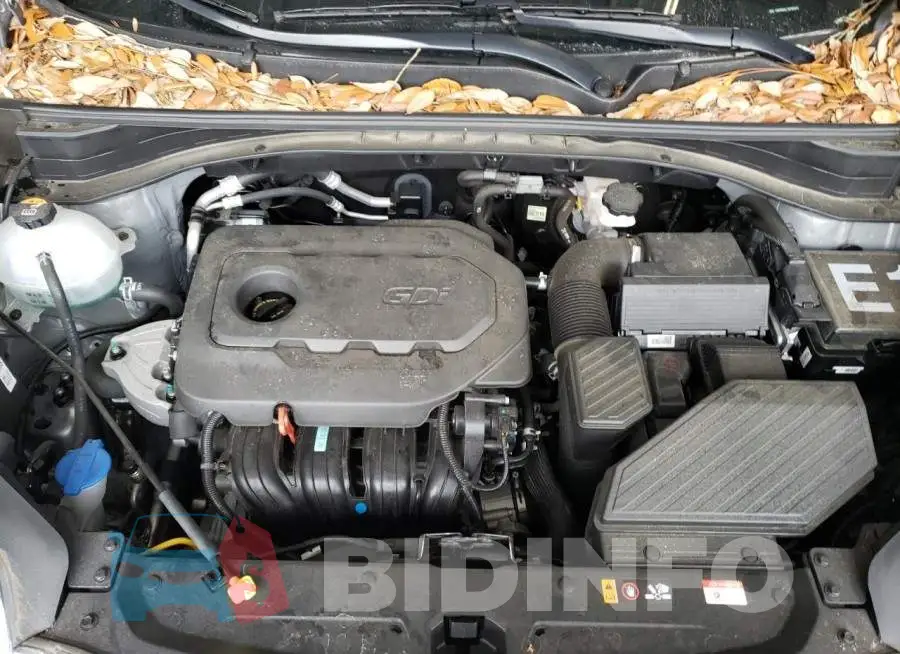 KNDPM3AC7M7861041 Photo# 12