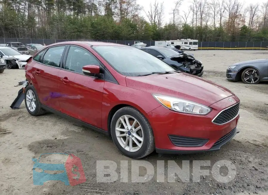 1FADP3F22GL382652 Photo# 4