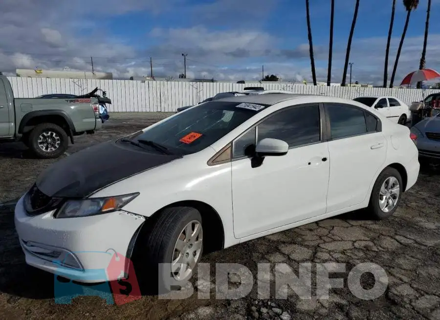 19XFB2F56EE231132 Photo# 1