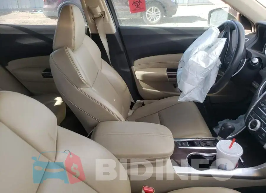 19UUB1F36FA000365 Photo# 5