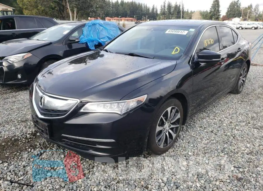 19UUB1F50FA023092 Photo# 2