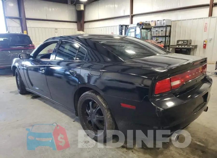 2C3CDXAT3EH348305 Photo# 2