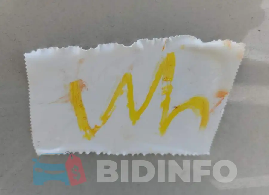 2C4RC1BG1MR576710 Photo# 9