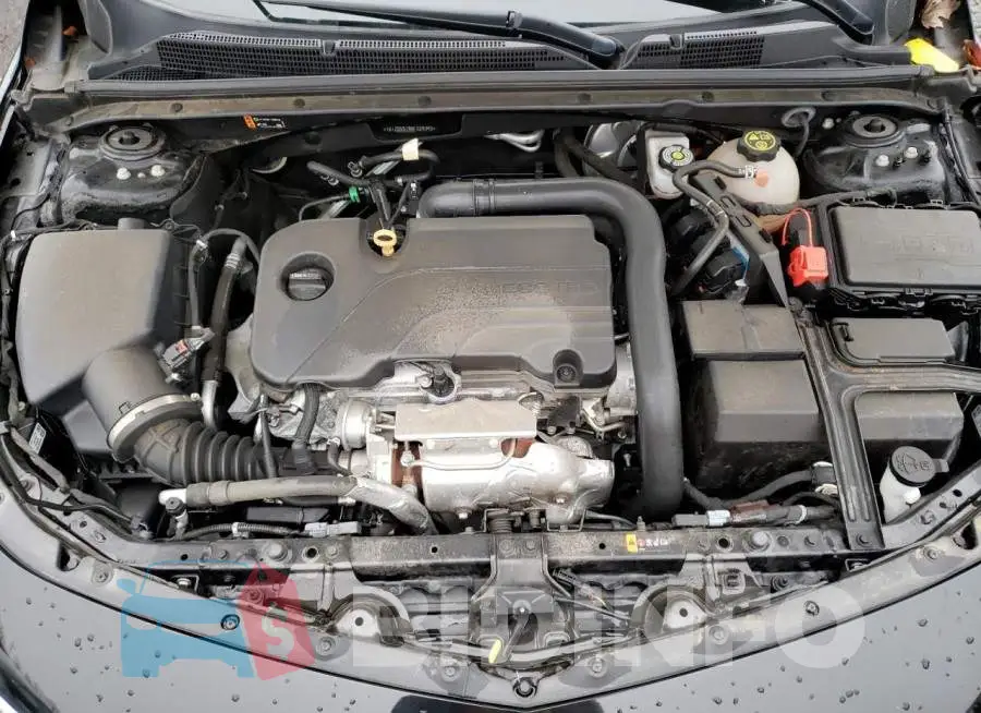 1G1ZD5ST9MF029346 Photo# 11